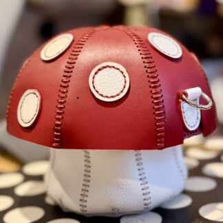 Mushroom Bag